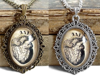 Anatomical Heart Necklace - Antique Anatomy Print Pendant in Silver Finish or Bronze