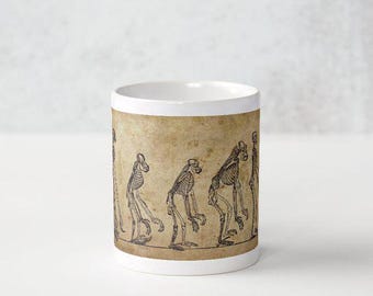 Evolution Wrap Around Coffee Mug - 11oz - Antique Anatomy Ape Skeleton Tea or Coffee Cup - Charles Darwin - Zoologist - Wild Life