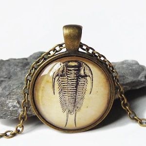 Trilobite Necklace - Trilobite Pendant in Bronze or Silver Finish - Fossil Jewelry