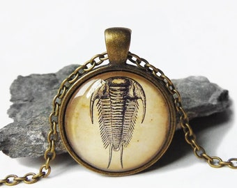 Trilobite Necklace - Trilobite Pendant in Bronze or Silver Finish - Fossil Jewelry