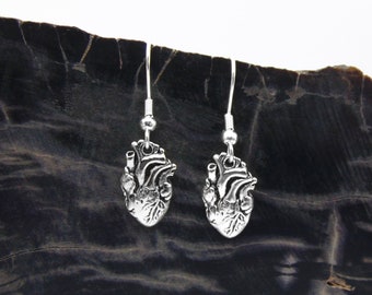 Anatomical Heart Earrings In Silver -  Now Available in an All Sterling Silver Option