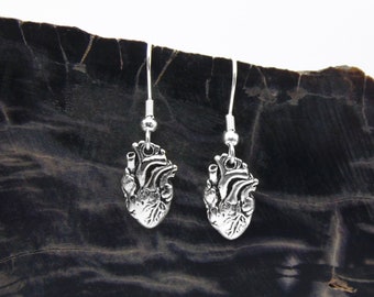 Anatomical Heart Earrings In Silver -  Now Available in an All Sterling Silver Option - LIMITED QUANTITY REMAINING