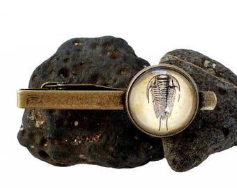 Trilobite Tie Clip - Fossil Tie Bar in Bronze Or Silver Finish - Dinosaur Wedding - Paleontologist
