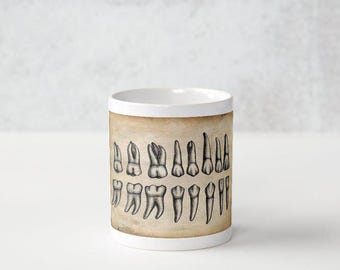 Anatomical Teeth Wrap Around Coffee Mug - 11oz - Antique Anatomy Tooth Print Tea or Coffee Cup - Dentist - Orthodontist