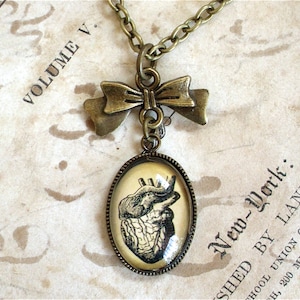 TINY Anatomical Heart Necklace with Bow - Antique Anatomy Print Pendant in Bronze or Silver