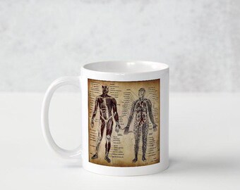Anatomical Chart Coffee Mug - 11oz - Antique Anatomy Circulatory System Tea or Coffee Cup - Cardiologist - Vascular Surgeon - Phlebologist