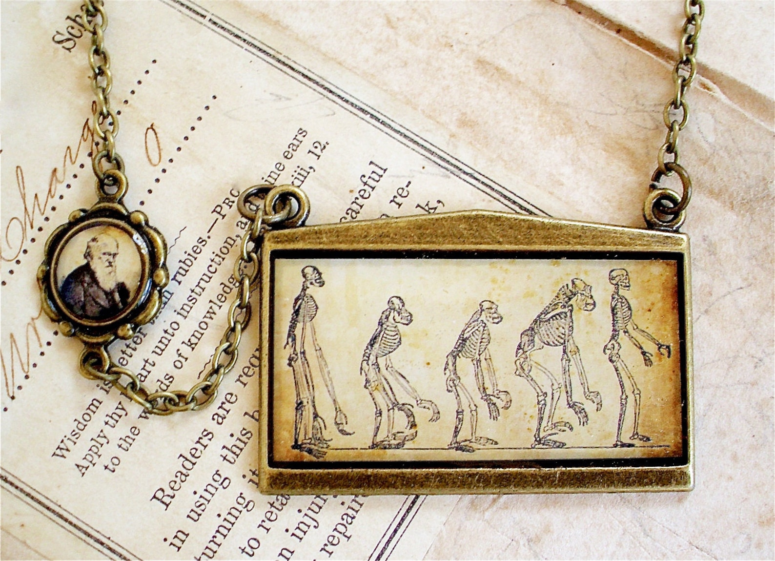 Darwin Necklace Evolution Charles Darwin Jewelry in Bronze Etsy