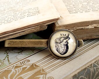 Anatomical Heart Tie Clip - Anatomy Tie Bar in Bronze or Silver Finish - Science Tie Bar