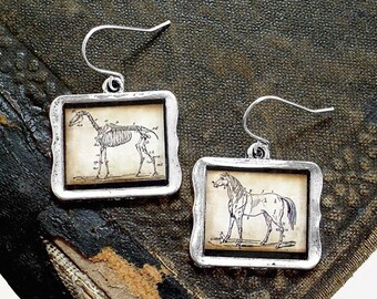 Horse Earrings - Anatomical Horse Skeleton Earrings in Silver Finish