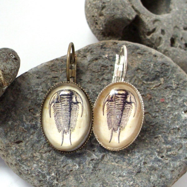 Pendientes de dinosaurio - Fósil de trilobites - Impresión fósil antigua Pendientes colgantes de dinosaurios en bronce o plata - Dino