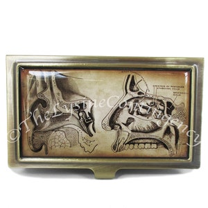KLOK Oor neus en keel kaart geval in geborsteld messing - Anatomie ID-hoesje of portemonnee - Antieke print - Arts