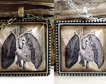 Anatomical Heart and Lungs Necklace - Antique Anatomy Print Pendant in Bronze or Silver Finish