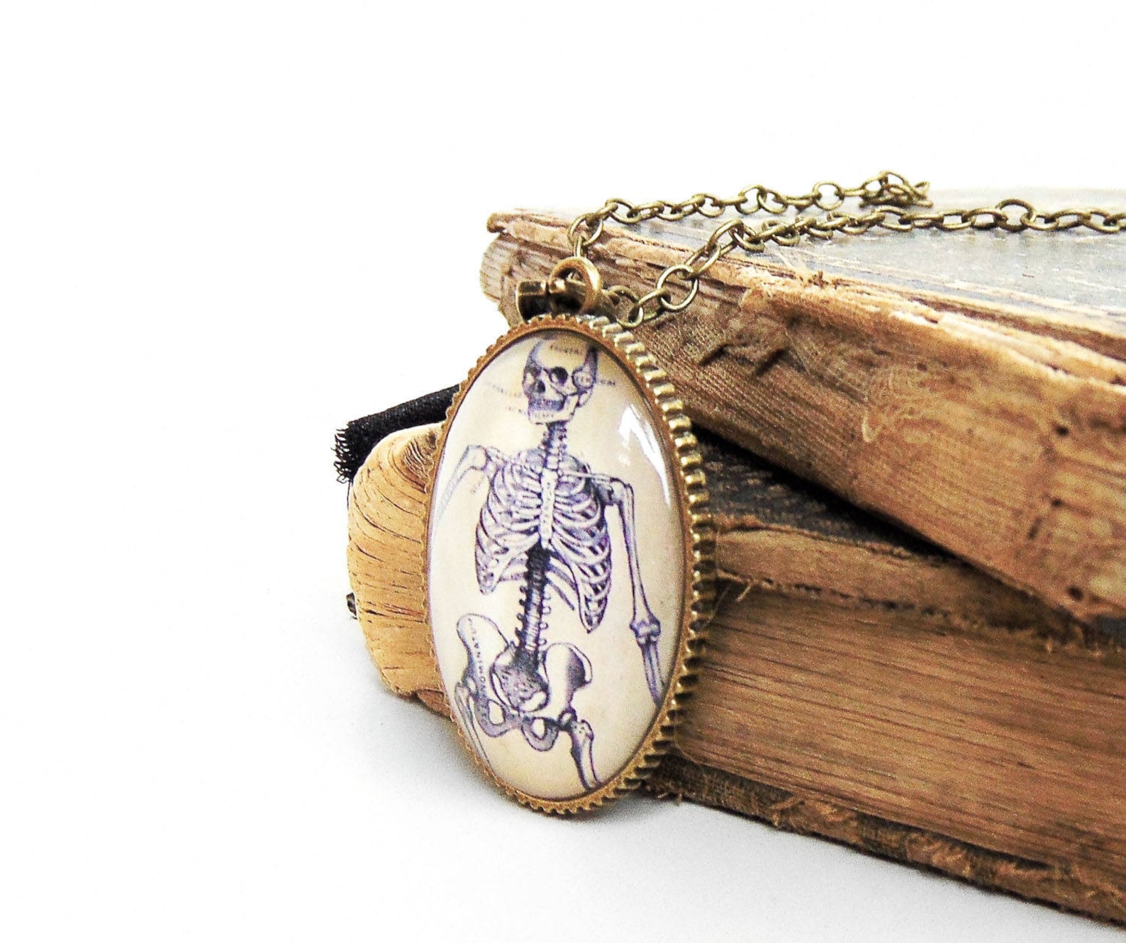 Anatomical Skeleton Necklace Anatomy Jewelry Human Etsy Singapore
