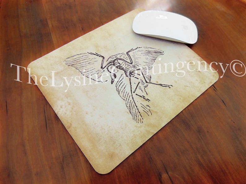 Dinosaur Mousepad Archaeopteryx Fossil image 3