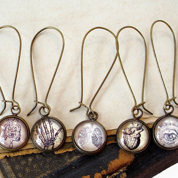 Anatomy Earrings - Etsy