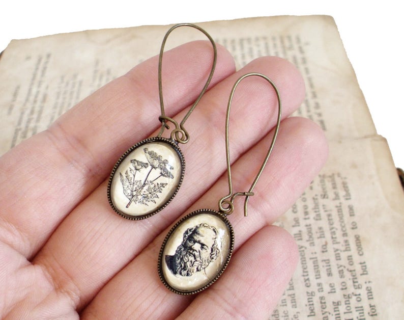 Socrates Earrings Socrates and Hemlock Philosophy Jewelry Etsy