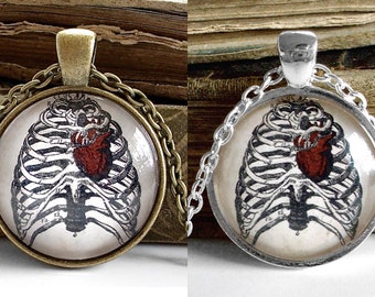 Anatomical Heart Necklace - Antique Anatomy Print Pendant in Silver Finish or Bronze - Ribs - Rib Cage