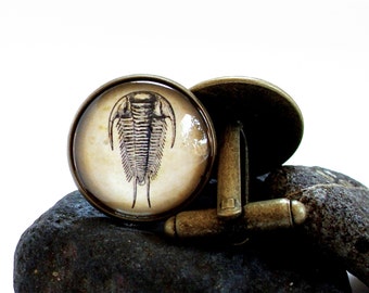 Trilobite Cufflinks - Fossil Cuff Links in Bronze or Silver Finish - Paleontology - Science Cuff Links - Cambrian
