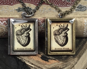Anatomical Heart Locket in Bronze or Gunmetal Gray - Antique Anatomy Print Heart Necklace - Oddities