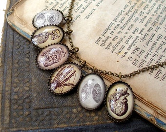 Anatomy Book Charm Necklace in Bronze or Silver Finish - Anatomical Heart , Lungs , Skeleton , Intestines , Eye