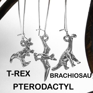 Dinosaur Earrings Mix and Match T-Rex Pterodactyl Brachiosaurus Triceratops Stegosaurus You Pick One Of Each Earring 1 Pair image 4