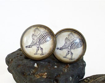 Dinosaur Cufflinks - Stegosaurus Cuff Links in Bronze or Silver Finish - Paleontology - Science Cuff Links