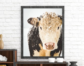 Hereford Cow Print, Cow Art, French Country Decor, Farmhouse Print, Snowy Cows, Farmhouse Rustic Decor, Large Wall Art, Fine Art Print