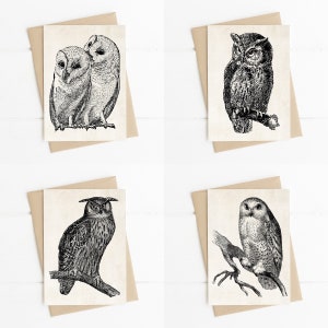 Owls Note Cards, Owl Art Stationery, Set of 4 Cards With Kraft Envelopes, Owl Note Cards, Woodland Nature Greeting Cards, Gift Idea