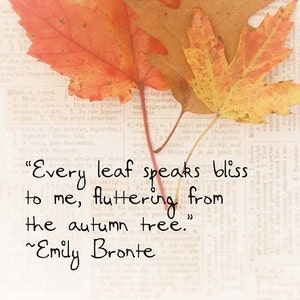 Emily Bronte Quote Autumn Fall Art Print Book Page Art - Etsy