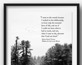 Henry David Thoreau Quote, I Went to the Woods, Wilderness Quote, Nature Lover Print, Inspirational Quote, Adventure Quote, Unframed