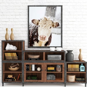 Hereford Cow Print, Farmhouse Print, Cow Photo, Farmhouse Rustic Decor, Silo Photo, Large Wall Art, Winter Art, Fine Art Print image 2