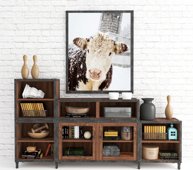 Hereford Cow Print, Farmhouse Print, Cow Photo, Farmhouse Rustic Decor, Silo Photo, Large Wall Art, Winter Art, Fine Art Print image 2