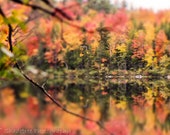 Autumn Art Print, Fall Foliage, New England Fall Leaves Decor, Autumn Abstract Art Print Photo, Colorful Fall Print Red Yellow Orange Leaves