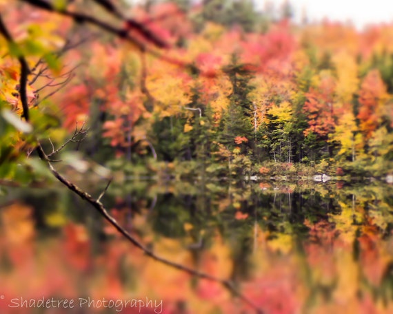 Otono Arte Impresion Otono Follaje Nueva Inglaterra Otono Etsy