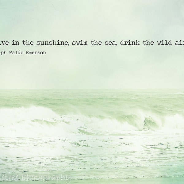 Shabby Chic Quotes Etsy