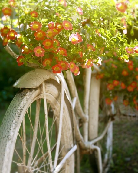 Vintage Basket For Schwinn Cruiser Baskets For Vintage Schwinn Bikes Vintage Basket For Schwinn Cruiser Baskets For Vintage Schwinn Bikes