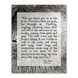 John Muir Quote, Wilderness Quote Print, Tree Bark Photo, Inspirational Quote, Forest, Woodlands Print, Nature Quote, Unframed