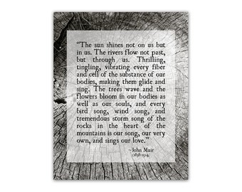 John Muir Quote, Wilderness Quote Print, Tree Bark Photo, Inspirational Quote, Forest, Woodlands Print, Nature Quote, Unframed