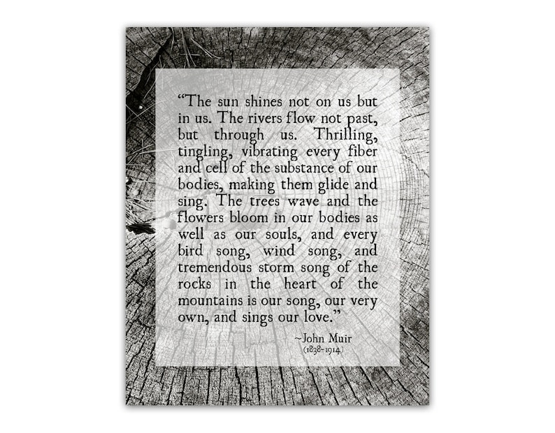 Woodlands Print Unframed Wilderness Quote Print Forest Tree Bark Photo Inspirational Quote Nature Quote John Muir Quote