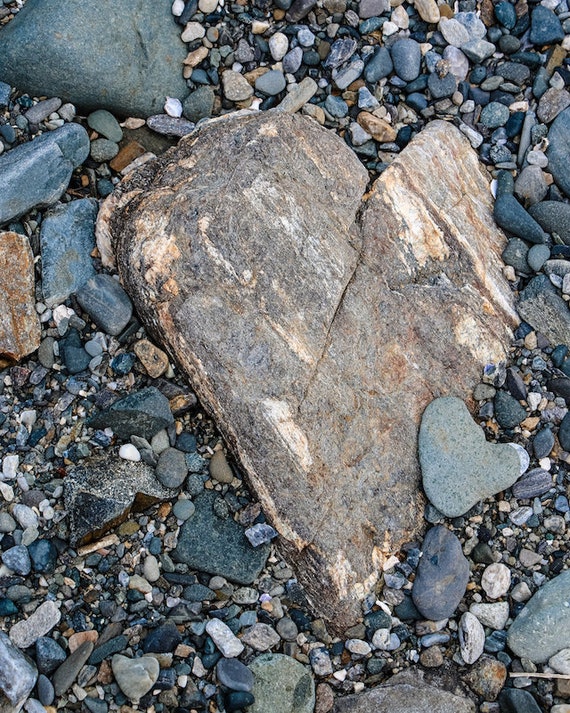 Natural Heart Shaped Rock In California Canvas Print / Canvas Art