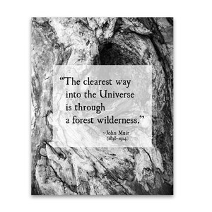 John Muir Quote, Wilderness Quote Print, Tree Bark Photo, Universe Quote, Inspirational Quote, Forest, Nature Quote, Unframed