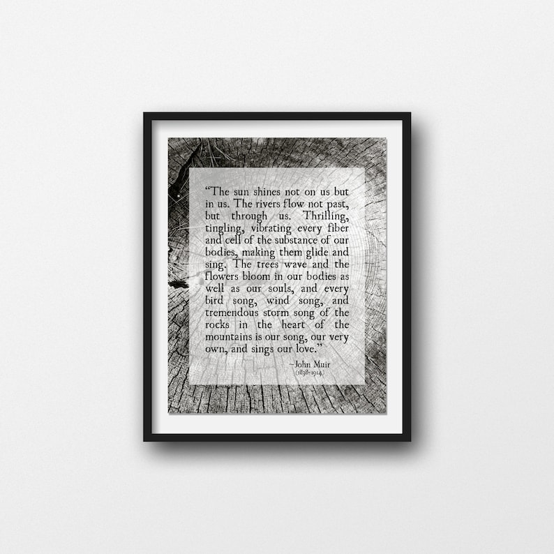 Woodlands Print Unframed Wilderness Quote Print Forest Tree Bark Photo Inspirational Quote Nature Quote John Muir Quote