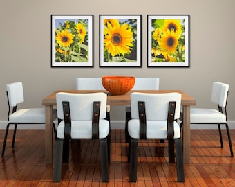 Sunflowers, Sunflower Wall Art, Farmhouse Decor, Yellow Sunflowers Photos, Nature Floral Photography, Kitchen Art, Set of 3 Fine Art Prints