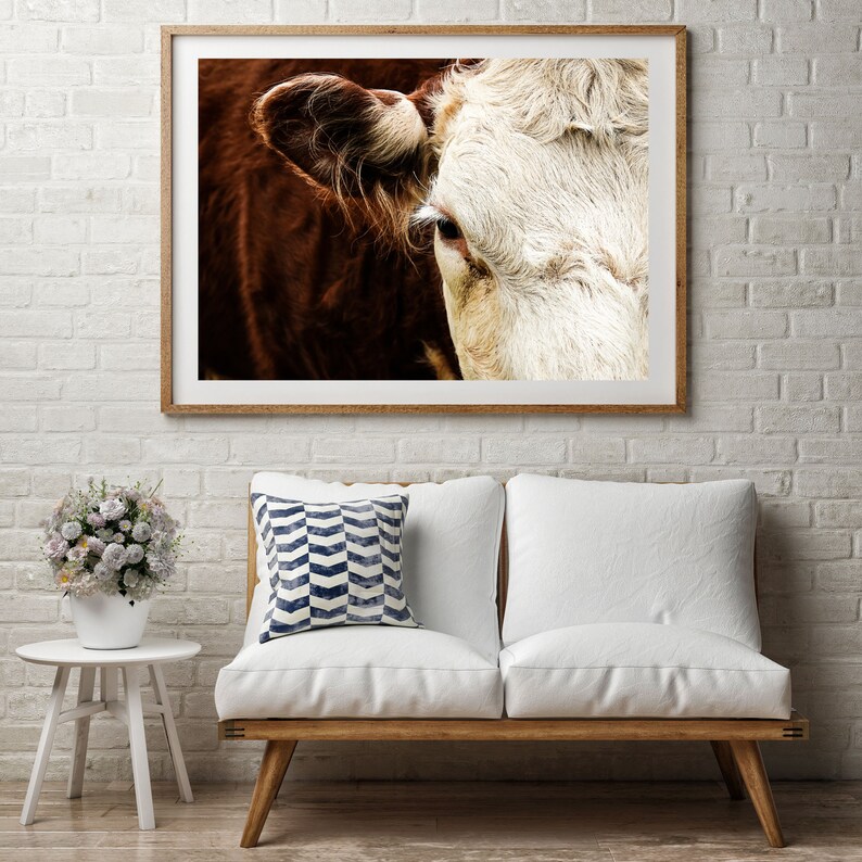 Hereford Cow Art Print Modern Farmhouse Style Decor Hereford Etsy