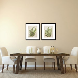 Fern Art Print, Botanical Prints, Nature Photography, Nature Art, Natural Decor Large Wall Art, Woodsy Flora Set of 2 Fine Art Prints