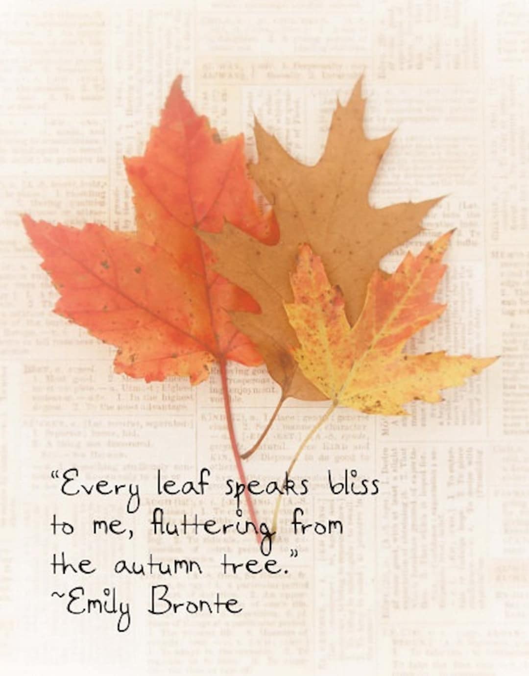 Emily Bronte Quote, Autumn Fall Art Print, Book Page Art Print, Quote
