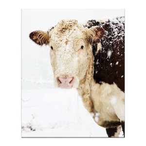 Cow Print, Cow Art, Winter Art, Farmhouse Decor, Winter Snow Art, Large Wall Art, White Simple Style Farm Country Decor, Fine Art Print