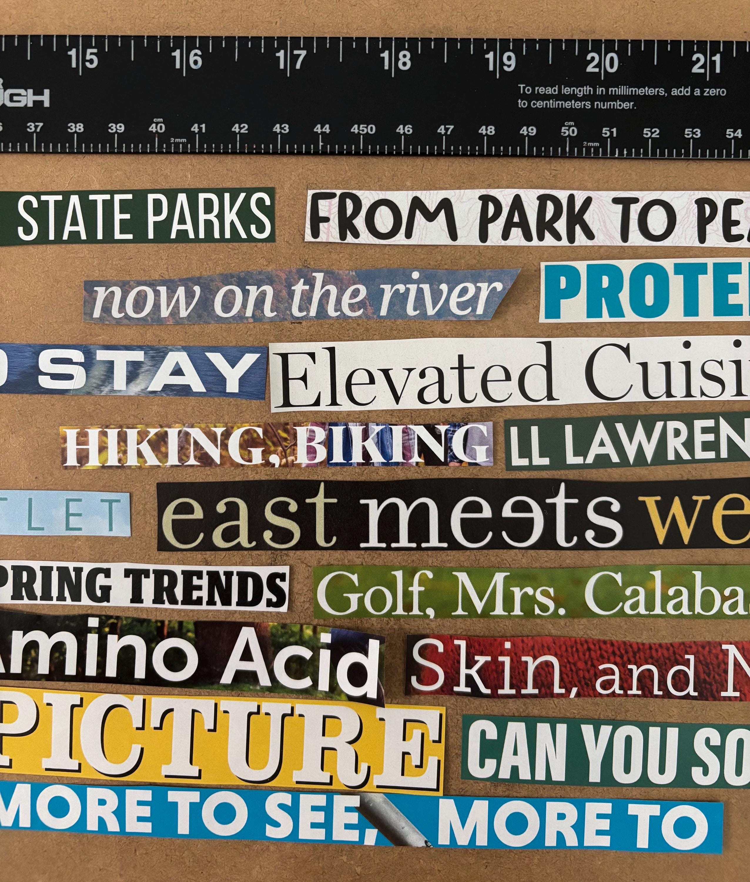 Magazine Word Strips & Large Letter Cutouts for Collage, Assorted ...
