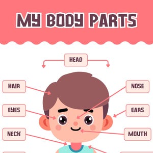 Human Body Parts Poster for Kids, Educational Anatomy Wall Art (digital ...
