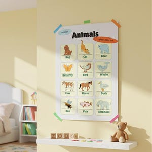 May include: An educational poster displaying animal illustrations, including a dog, cat, and bear, with the title "Animals". The poster is attached to a yellow wall with tape. A teddy bear sits on a white shelf below the poster.